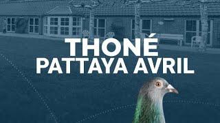 PATTAYA AVRIL - 2nd Place 530km Pattaya Grand Prix 2024-2025 - THONE PIGEONS EMERGES VICTORIUOS