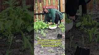 #рассказы #жизнь
