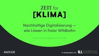 Nachhaltige Digitalisierung – wie Löwen in freier Wildbahn