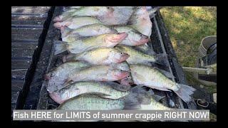 Fishing HERE has produced LIMIT after LIMIT of slab crappie for my clients all SUMMER! Try it out!