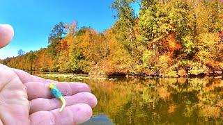 Catch Loads Of Crappie For Dinner Easy With This Fall Fishing Technique!