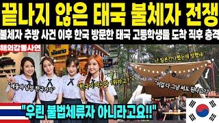 [해외감동사연]끝나지 않은 태국 불체자 전쟁, 불체자 추방 사건 이후 한국 방문한 태국 고등학생들 도착 직후 충격