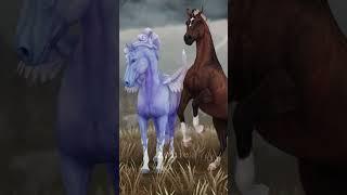 Siblings reunited #starfam #sso #ssomagichorses #starstable #horse #starstableonline