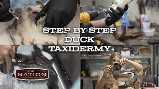 Step-By-Step Duck Taxidermy | DU Nation