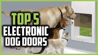 Top 5 Best Electronic Dog Doors of 2024