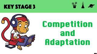 Competition and Adaptation