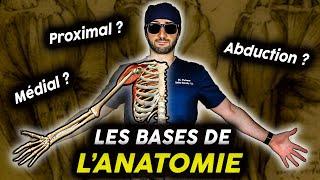 Introduction à l’anatomie : Tout ce que vous devez savoir