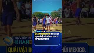 Theo bạn, bộ 3 nào của VN sẽ tiếp được Wero Tiwi #bongchuyen #volleyball #shorts