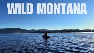 Fishing For WILD TROUT In Montana (Full Movie - "Wild Montana")