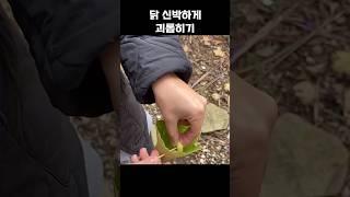 닭 신박하게 괴롭히기