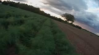 Caddx Orca - FPV Freestyle - No Stabi No Colour Grade - RAW