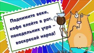 Удачного понедельника! Порция отборного юмора про понедельник! С добрым утром!