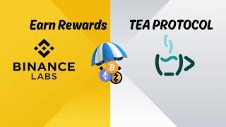 TEA PROTOCOL EARN POINTS GET REWARD / INVESTOR BINANCE LABS #airdrop  #testnet_airdrop  #teaprotocol