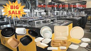 paper plate making machine// new 4 station servo forming carton paper plate and dish tray