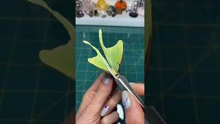 Preserving a American Moon Moth #entomology #taxidermist #butterfly #insects #art