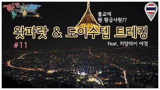 #11 [태국/치앙마이] 왓파랏 & 도이수텝 트레킹 WatPharat & Doisuthep Trekking