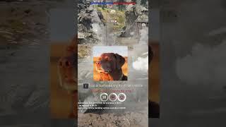 Trolling Tanks With M163 #warthunder #gaming