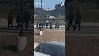 Massive brawl breaks out after LA Galaxy's loss to San Diego FC