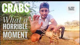 Crabs my fear | all india travel | the utazo | bhaskar bhandari