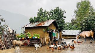 Rainy Day in a Northern Iranian Village | Helping Neighbors & Caring for Animals