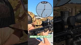 Amazing Airgun Accuracy | FX Impact | Best PCP Airguns in the world | FX Airguns #fxairguns