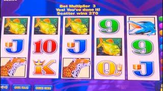 Brazil Jackpot at Encore Las Vegas  triple fortune dragon awesome handpay picture 