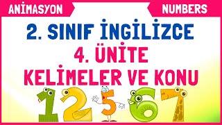 2. Sınıf İngilizce 4. Ünite Kelimeleri Konu Anlatımı | NUMBERS