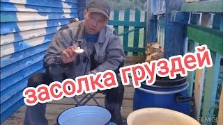 Засолка хрустящих, вкусных и ароматных груздей. Рецепт от даров природы.