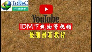 IDM怎么免费使用？IDM下载油管视频被限制怎么办？一个视频解答你！#油管 #idm #视频下载