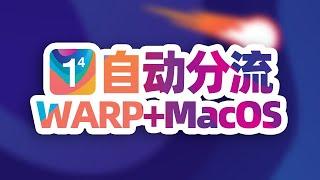 MacOS 开启 MASQUE协议，通过 PAC实现 WARP+代理自动分流，最强永久免费VPN，不限流量！防失联必备 ！#科学上网 #翻墙