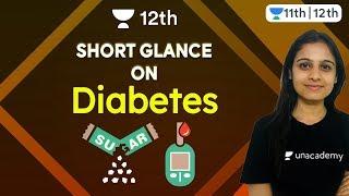 Unveiling Diabetes | Human Physiology | Biology | Unacademy Class 11 and 12 | Simran Ma'am