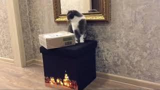 Заказ Ив Роше по бланку , в подарок  ....../Yves Rocher