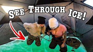 Fishing for New EXOTIC SPECIES through LOCAL ICE!!! (See THROUGH ICE!!!)