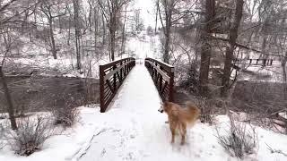 Bear River Trail in Petoskey