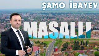 Shamo İbayev Masalli mahnisi 2023