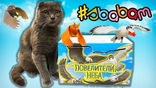 НОВИНКА от СБАБАМ КРУТЫЕ ПТИЦЫ / ПОВЕЛИТЕЛИ НЕБА