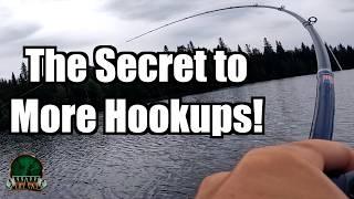 Stop Missing Fish on Buzz Baits! Top Water Pike Fishing Tip!