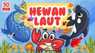 SERU BANGET! AYO BELAJAR MENGENAL NAMA NAMA HEWAN LAUT UNTUK ANAK ANAK | For Kids!