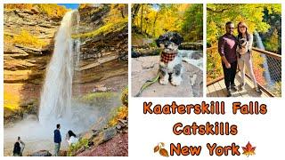 Kaaterskill Falls Hike, Catskills, New York 2022 | Peak Fall Colors | Hiking with Dog | Fall Foliage