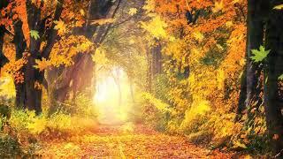 Autumn Relaxing Music  [ composed by Yevgeniy Nikitenko ]