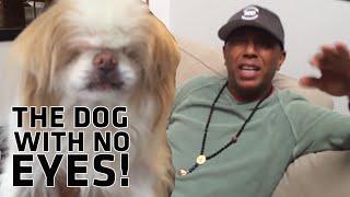 Inside ADD: This Dog Has No Eyes! | All Def