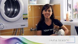 Wash Your Pet with Water and Norwex - Cleaning Moments with Linda
