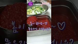 만능김치양념 비법공개 | 봄김치 햇김치 맛있게 담그는 방법 | 쉬운 김치 만들기