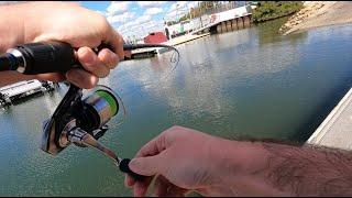 The Bream Only Wanted This Lure! - Fishing Swan River Perth