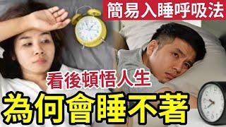 #佛禪 睡不著是大問題！你為甚麼「會睡不著？」看完恍然大悟！值得記一輩子！佛在心裡「禪是生活」祝各位食好睡好，事事順心，處處是寶 #失眠