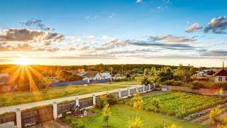 Maleny Walk & Talk | Queensland Tours