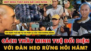Vượt Qua Vô Minh và Thử Thách: Cách Thầy Minh Tuệ Đối Diện Với Đàn Heo Rừng Hôi Hám?