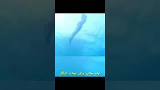 ایده کپسول نجات شناگر | دستبند نجات شناگر