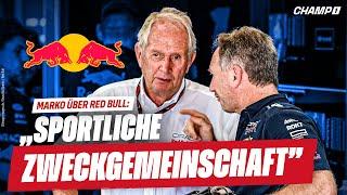 ️VERSTÖRENDE️ Horner-Vergleiche / Marko spricht ️KLARTEXT️ / RB verzichtet auf Sonderlackierung