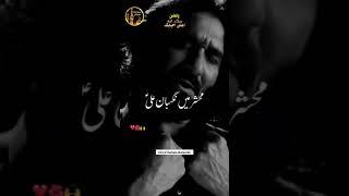 Ya_Ali_ع_Yabna_Ameerul_Momineen #ytshorts #youtubeshorts #shortvideo #shorts #noha  #nadeemsarawar